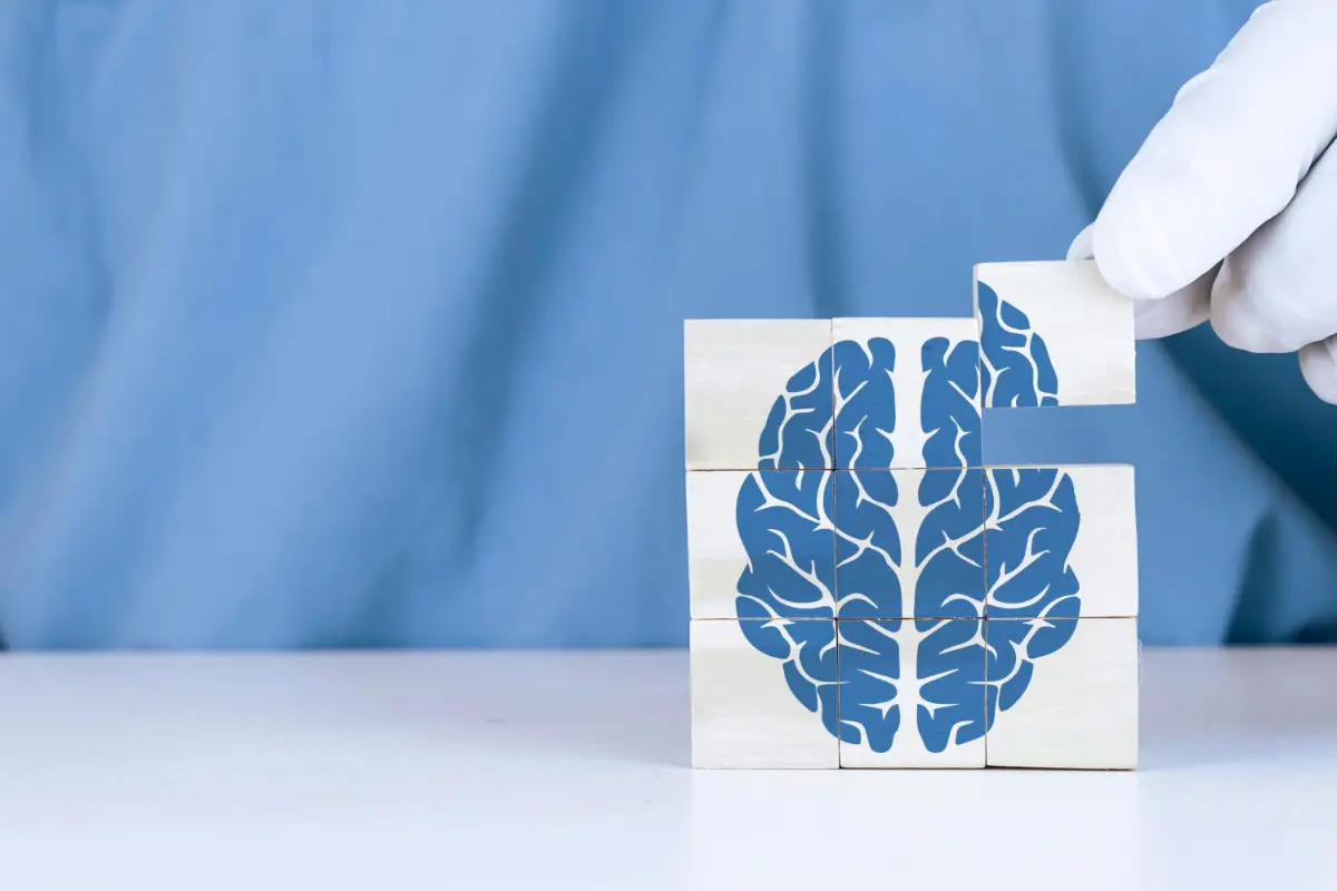 APP-Forschungsprojekte – APP Wien